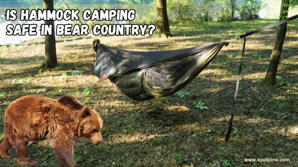 is hammock camping safe in bear country?