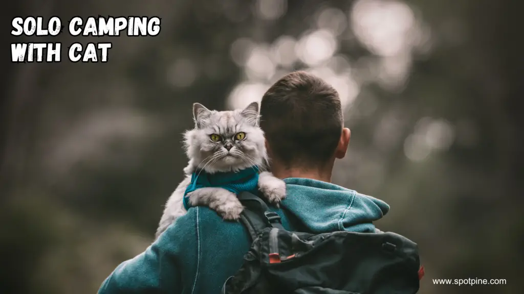 solo camping with cat