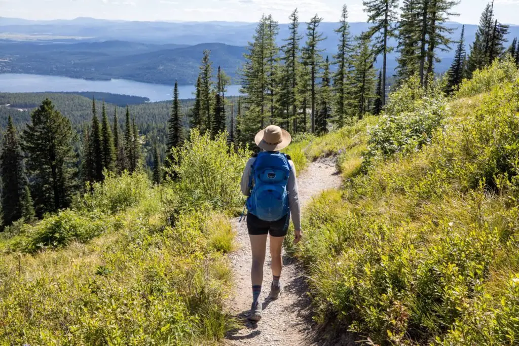 exploring wildlife and nature while do camping alone