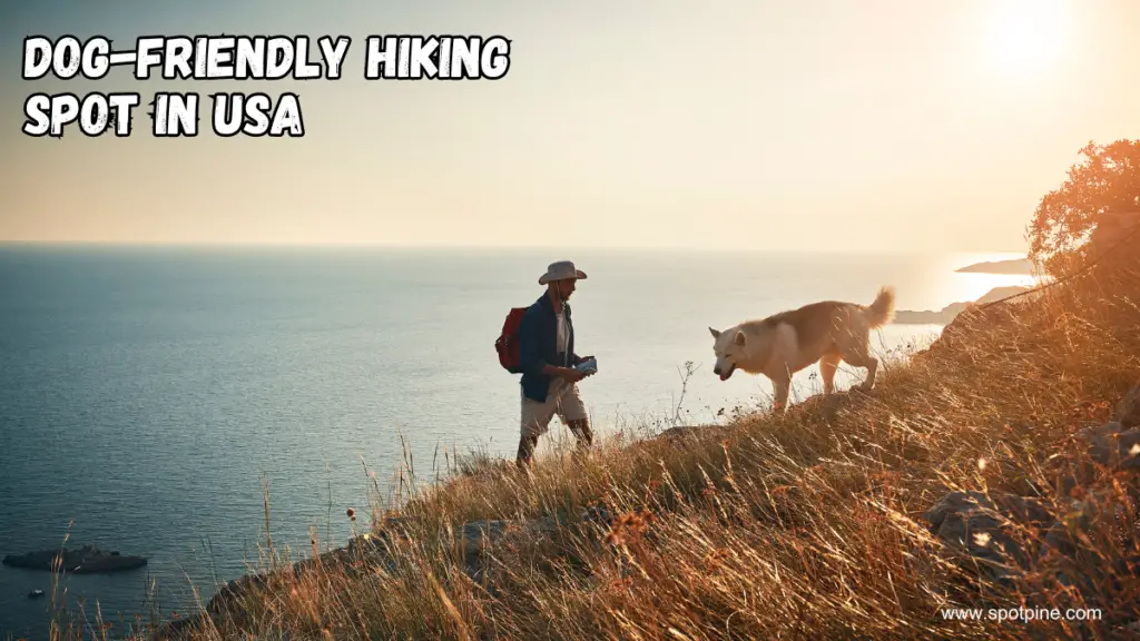 Top Trails for Dog-Friendly Hiking in USA