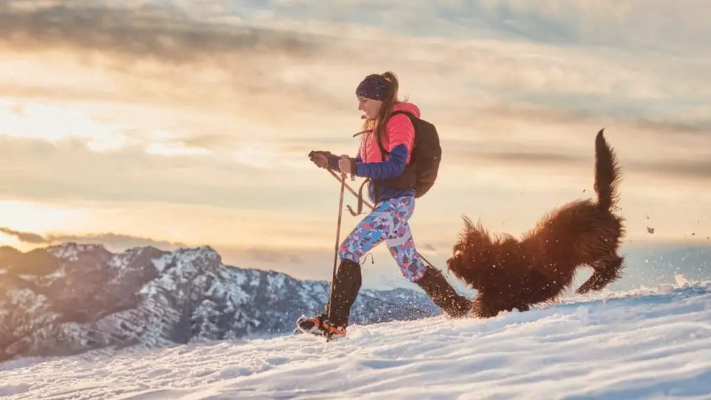 hiking with dog