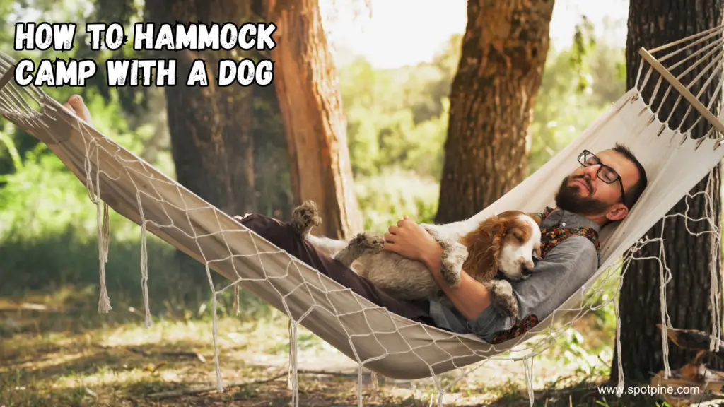 how to hammock camp with a dog