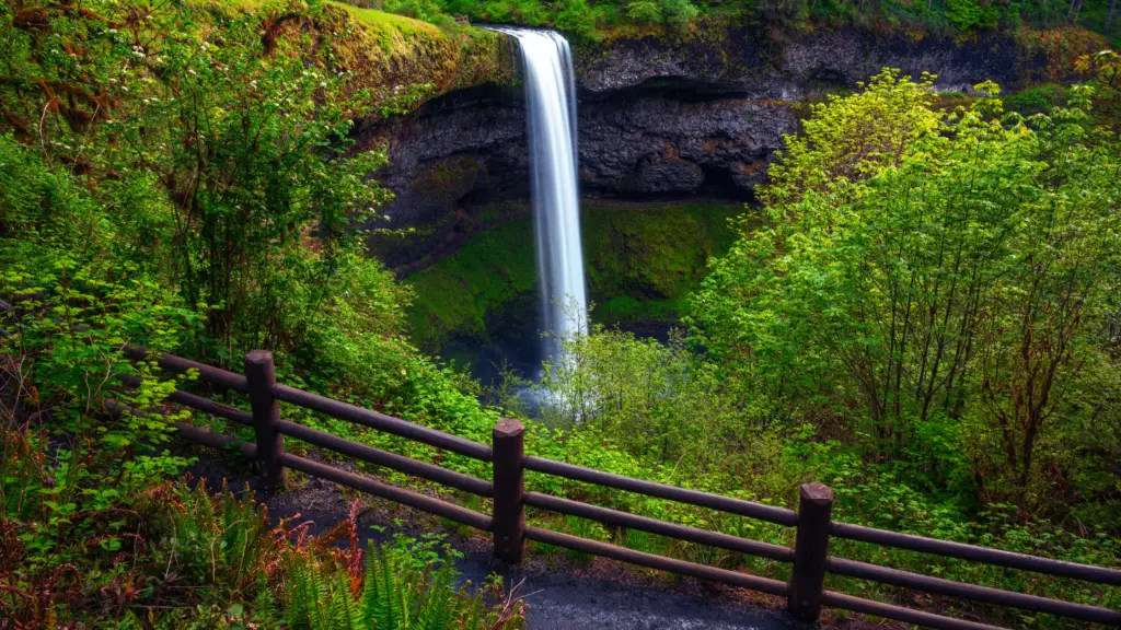 Silver Falls State Park - Oregon