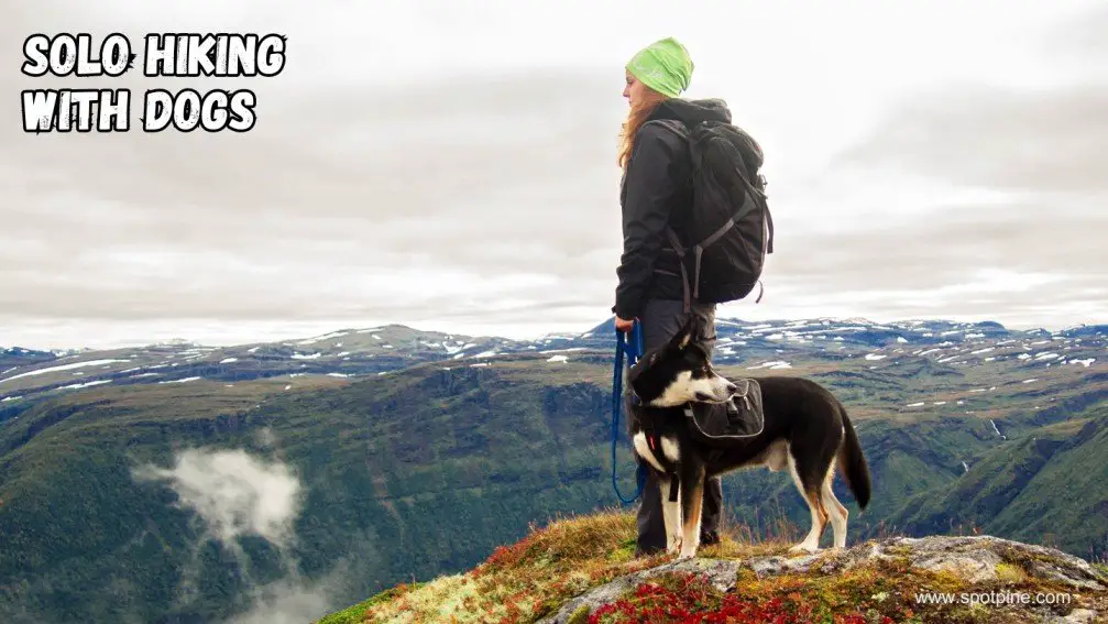 solo hiking with dogs