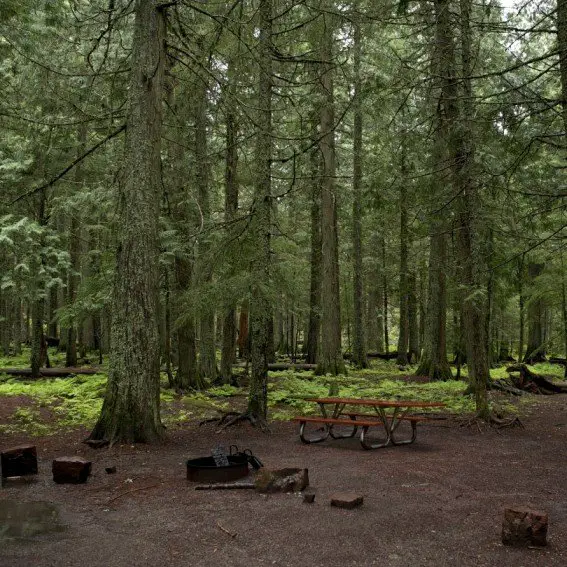 Cataloochee Campground