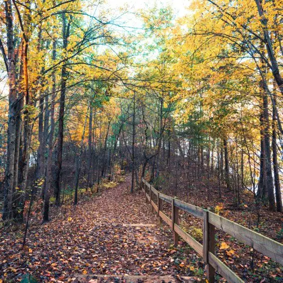 Lake James State Park 