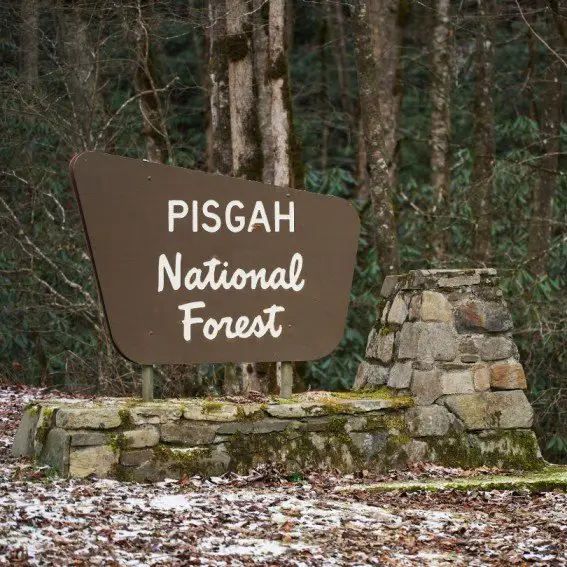 Pisgah National Forest