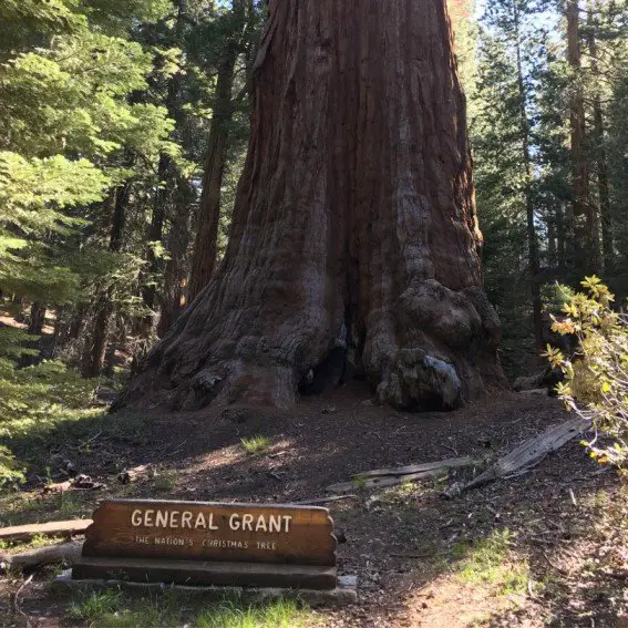 Sequoia and Kings Canyon National Parks