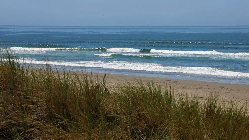 Wright's Beach Camping