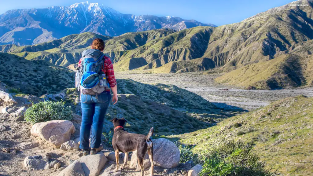 A Quick Guide To Thru Hiking The Pacific Crest Trail