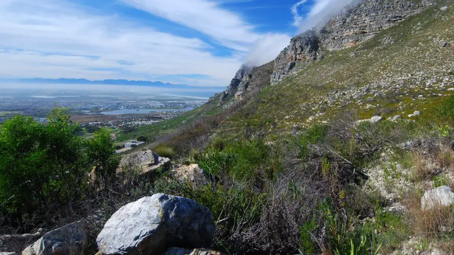 silvermine nature