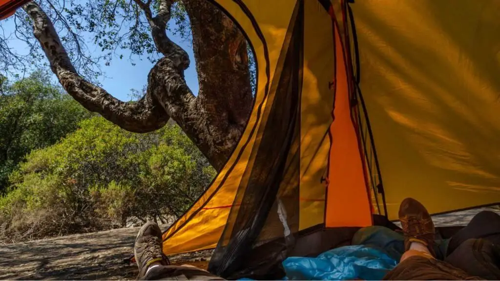 Leo Carrillo State Park Campground