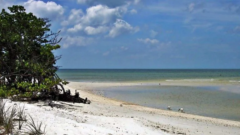 Florida Gulf Coast Beach Camping